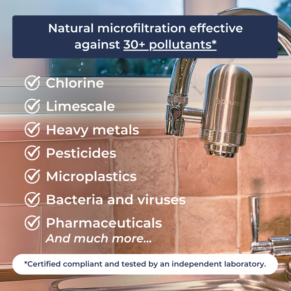 Stainless Steel Filter + Adapters